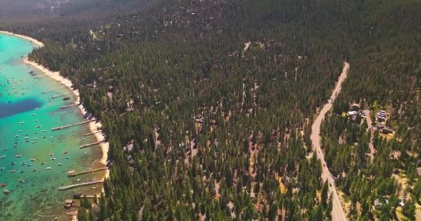 Dağlık Arazide Yetişen Yeşil Çam Ağacı Ormanının Güzel Bir Resmi — Stok video