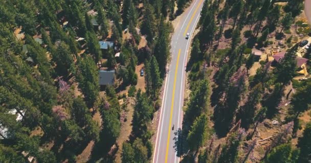 Privathäuser Kiefernwald Drohne Fliegt Sonnigem Tag Durch Den Wald Über — Stockvideo