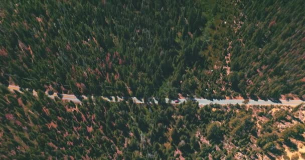 Paesaggio Roccioso Coperto Pini Autostrada Della Velocità Che Attraversa Foresta — Video Stock