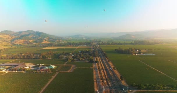 Nádherné Zelené Údolí Několika Vinicemi Horkovzdušné Balóny Modré Obloze Nad — Stock video