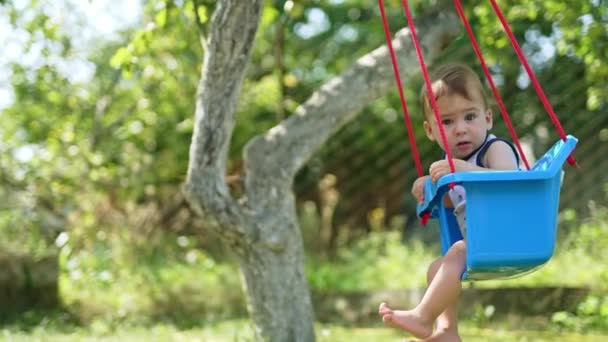 Linda Criança Balançando Balanço Azul Jardim Bebê Olhando Atentamente Para — Vídeo de Stock