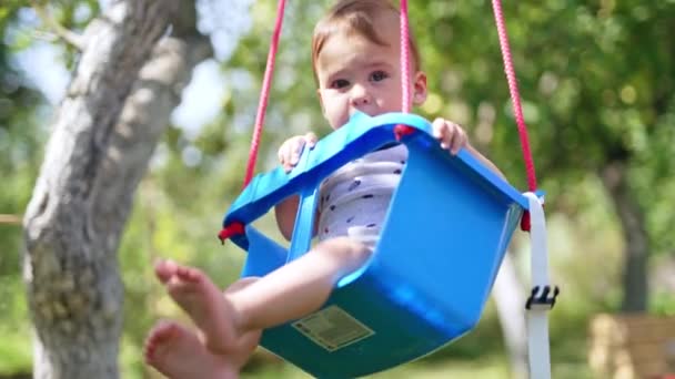 Doce Bebê Descalço Senta Balanço Criança Divertindo Livre Jardim Dia — Vídeo de Stock