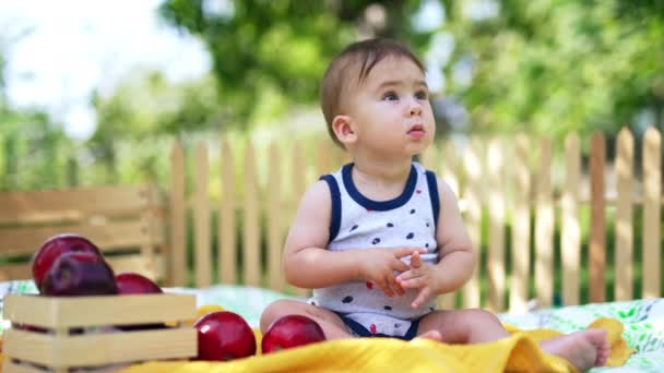 庭の平原に座っている愛らしい赤ん坊 石鹸の泡を見ているかわいい平和な子供が飛び降りる ブラーレッド バックドロップ — ストック動画