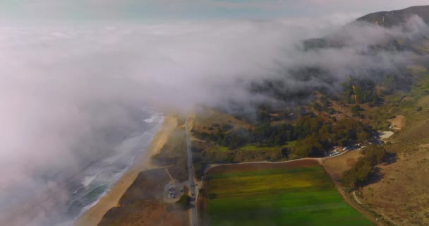 美丽的海岸 岩石和草地蒙塔拉 加利福尼亚州 浓密的白雾从水里弥漫在陆地上 空中景观 — 图库视频影像
