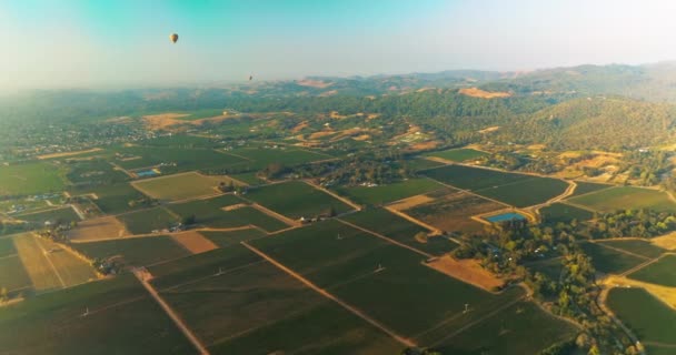 Obdivuhodný Výhled Vinice Napa Krásného Slunečného Dne Horkovzdušné Balóny Létající — Stock video