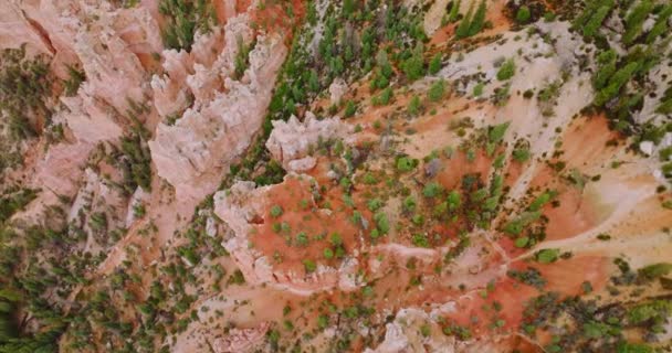 生长在布莱斯峡谷尖顶岩石悬崖上的松树 鸟瞰美丽的珊瑚岩石 — 图库视频影像