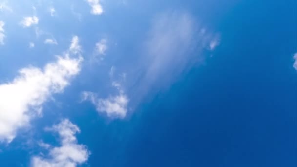 淡淡的薄云消失在深蓝色的天空中 阳光灿烂的日子里 从下面俯瞰天空 令人惊奇 时间流逝 — 图库视频影像