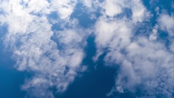 白い雲から青い空が飛び出します 地平線のタイムラプスでの雲の形成 下からの眺め — ストック動画