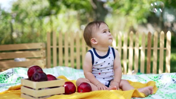 정원에 담요에 진정한 평화로운 아이는 거품을 사과는 — 비디오