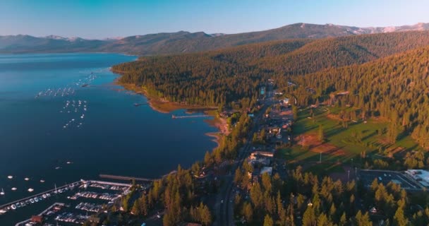 Fantastisk Natur Vacker Lake Tahoe Solig Varm Dag Waterfront Med — Stockvideo
