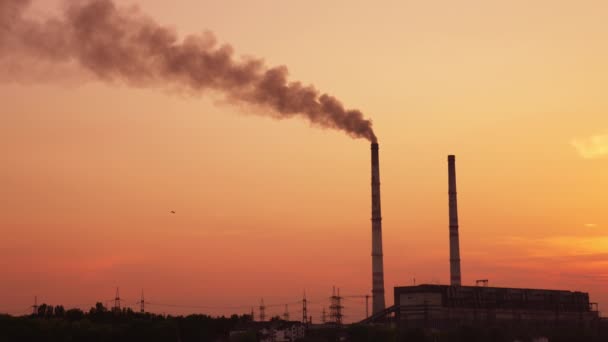 煙を生産する管が付いている産業地帯 日没時にピンクの空の背景で働く植物 地平線で飛ぶストーク — ストック動画