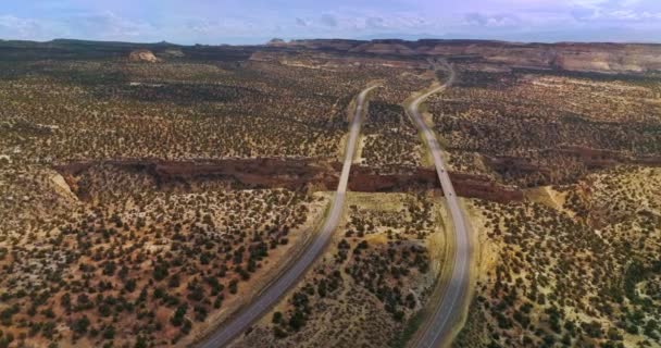 两条长长的公路穿过荒无人烟的土地 其间长满了绿色的灌木丛 无人接近沙漠中的巨大裂缝 有桥梁连接道路 — 图库视频影像