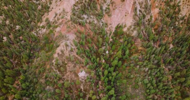 ブライス国立公園のロッキーな景色は 緑の松の木 小さな茂みとモスで覆われています 昼間のドローン映像 トップビュー — ストック動画