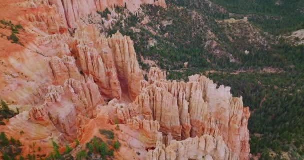 美国犹他州布莱斯国家公园难以置信的岩石柱 令人惊奇的粉色岩石是由空气侵蚀造成的 脚下有松木 顶部视图 — 图库视频影像