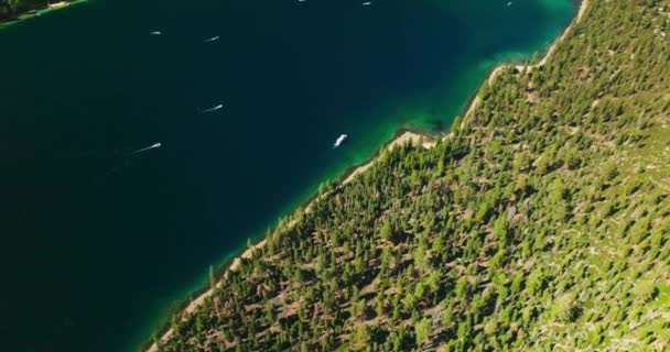 在美国加州塔荷湖蓝色水面航行的白船 湖畔的一条细沙线变成了松树林 顶部视图 — 图库视频影像