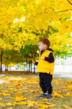 Sarı ceketli ve siyah tulumlu küçük çocuk parkta yürüyor..