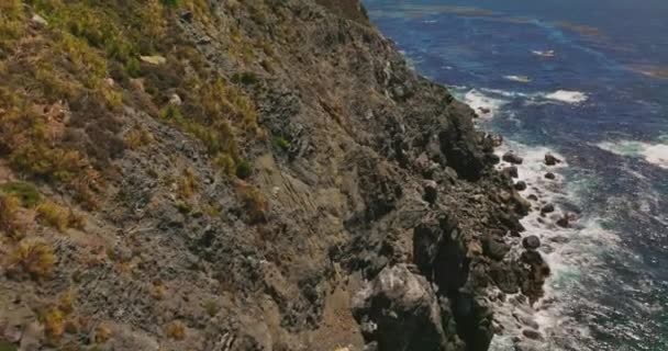 太平洋の海岸線の崖の上を飛行する 海岸を覆う草やモスがいる 山の頂上にある家や道路 — ストック動画