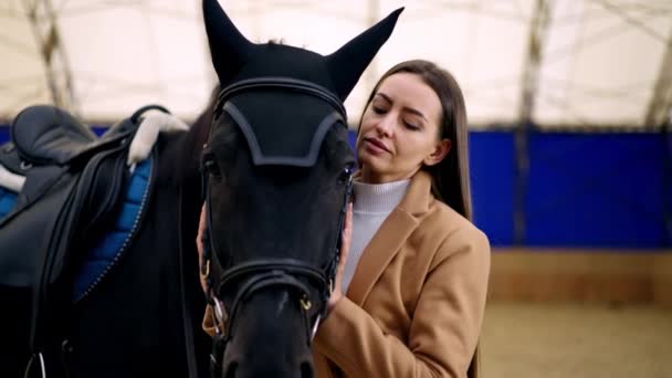 漂亮的黑头发女士站在一匹黑马旁边 女人把她的脸颊摸到马的头上 在模糊的背景下管理 — 图库视频影像