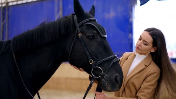 美丽的长发女士站在一匹黑马旁边 身穿弹药服 女人在抚慰和安抚动物 — 图库视频影像