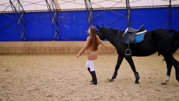 Λεπτή Μελαχρινή Κυρία Περπατά Οδηγώντας Μαύρο Άλογο Από Μεγάλη Πολιορκία — Αρχείο Βίντεο