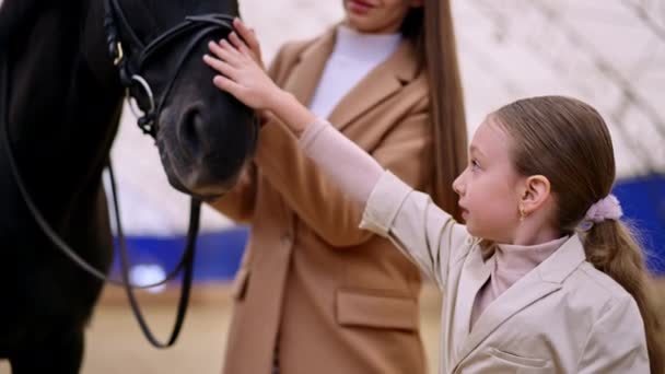 母女爱抚着那匹戴着弹药的美丽的黑马 背景模糊的大型骑车馆 — 图库视频影像