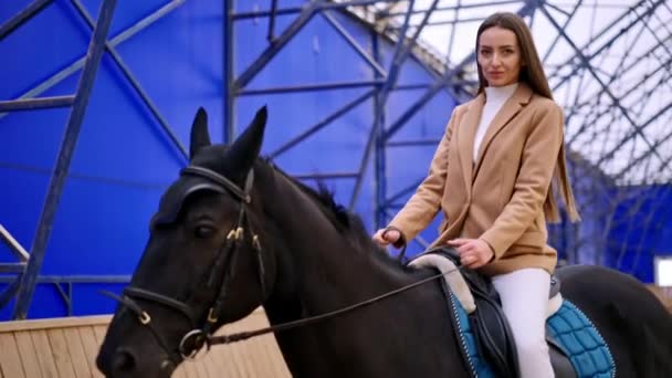 迷人的黑头发女士骑着一匹漂亮的黑马 女人在骑术馆练习她的业余爱好 低角度视图 — 图库视频影像