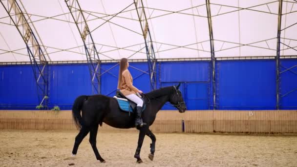 Paardrijden Boor Hal Langharige Vrouw Beige Jasje Witte Broek Rijdt — Stockvideo