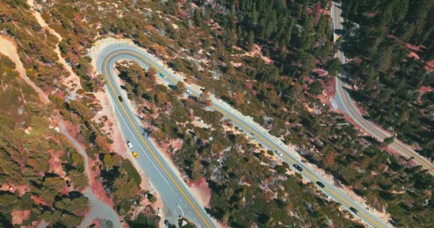 Arabalar Ormanda Dalgalı Yoldan Yavaşça Ilerliyorlardı Tahoe Gölü Kıyısındaki Karayolu — Stok video