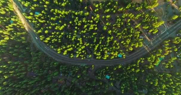 Fenyőerdő Magánházakkal Fák Között Kétsávos Autópálya Felülről Halad Területen — Stock videók