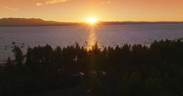 Sötét Fenyőfák Sziluettjei Tahoe Partján Kalifornia Usa Számos Hajó Vitorlázik — Stock videók