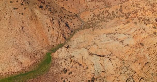 Fissure Verte Entre Les Énormes Montagnes Nevada Drone Dessus Des — Video