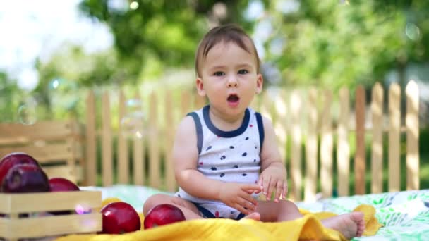 Söt Baby Sitter Sommarträdgården Tittar Såpbubblor Flyger Förbi Toddler Sitter — Stockvideo