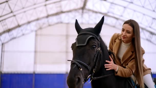 坐在一匹黑马上的漂亮女士靠在动物的头上 在练习场骑马运动 低角度视图 模糊的背景 — 图库视频影像