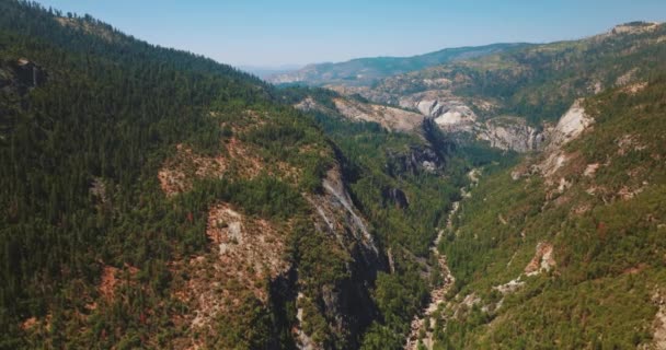 Fantastiskt Stenigt Landskap Soligt Klart Dagtid Tallträd Växer Bergen Yosemite — Stockvideo