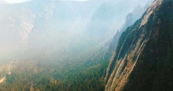 Increíble Bosque Pinos Cubierto Espesa Niebla Altas Montañas Que Rodean — Vídeos de Stock