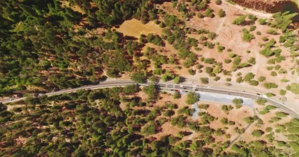 Kilka Samochodów Zatrzymuje Się Przy Autostradzie Słoneczny Dzień Rzadki Las — Wideo stockowe
