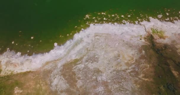 Λευκό Αλατούχο Σκορπιό Στην Όχθη Της Όμορφης Λίμνης Πράσινα Νερά — Αρχείο Βίντεο