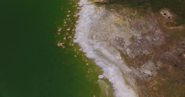 咸水湖中的水 白色的咸咸鱼群覆盖在岸上的宽鱼线上 光秃秃的海滨 没有植被 顶部视图 — 图库视频影像
