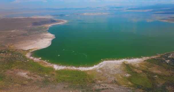 호수의 웅장한 중간에 파란색과 물가에 캘리포니아 카운티의 놀라운 — 비디오