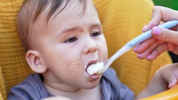 Beau Bambin Caucasien Mangeant Porridge Volontairement Portrait Bébé Avec Porridge — Video