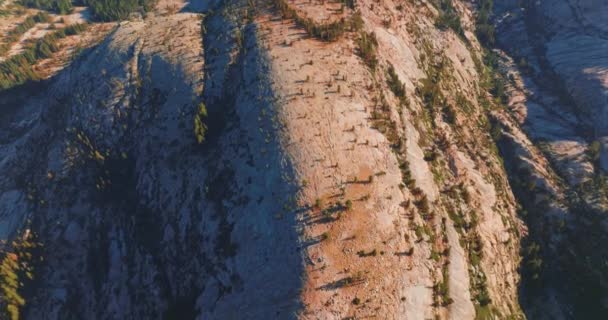 Голые Серые Скалы Редким Сосновым Лесом Растущим Вершины Горы Йосэмите — стоковое видео