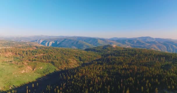 Malownicza Sceneria Górskiego Krajobrazu Jasnych Promieniach Porannego Słońca Drzewa Sosnowe — Wideo stockowe