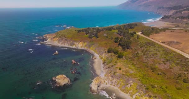Skalnatá Pláž Pokrytá Mechem Lišejníkem Několika Keři Úžasné Pobřeží Pacifiku — Stock video