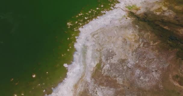 Dry Salty Shore Vegetation Mono Lake California Usa Sea Green — Stock Video