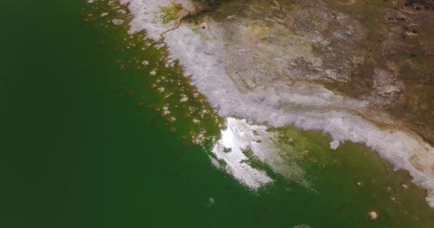 カリフォルニア州モノ湖の緑と青い水 湖のベアショアは塩の層で覆われていました トップビュー — ストック動画