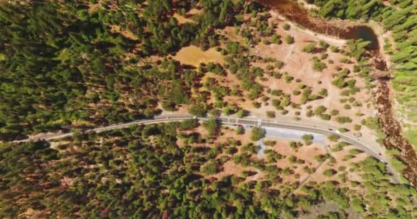Autos Unterwegs Yosemite Nationalpark Kalifornien Usa Kiefernwald Wächst Auf Der — Stockvideo