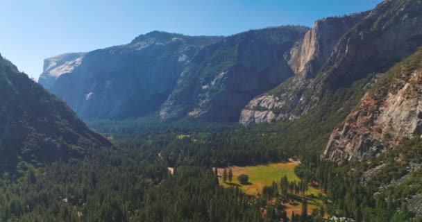 Valle Soleggiata Con Pineta Tra Rocce Dello Yosemite National Park — Video Stock