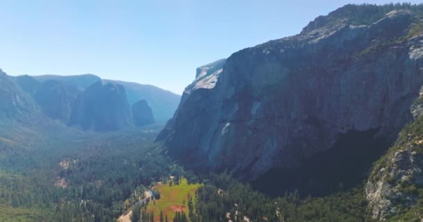Pineta Illuminata Dal Sole Circondata Rocce Potenti Parco Nazionale Yosemite — Video Stock