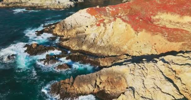 Líquen Vermelho Cobrindo Rochas Esfarrapadas Costa Pacífico Ondas Espumosas Brancas — Vídeo de Stock