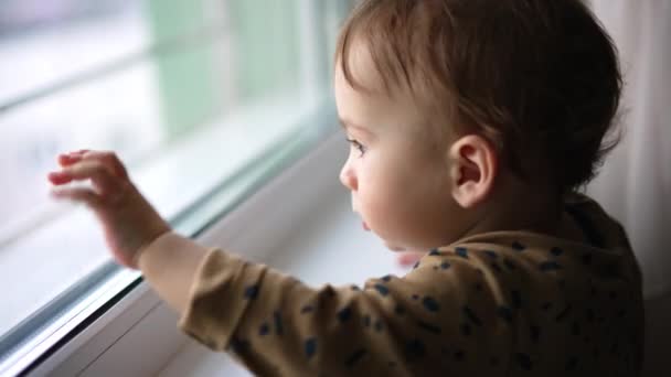 Niedliches Baby Das Fenster Steht Und Die Scheibe Knallt Schönes — Stockvideo